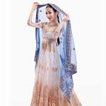 Indian Sari Scarf Mesh Embroidery Ethnic India Pakistan Clothing Silk Headscarf Muslim Shawl Hijab Scarves Women (Only Dupattas)