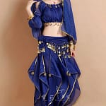 Belly Dance Costume Bollywood Costume Indian Dress Bellydance Dress Gypsy Women Belly Dancing Costume Sets Tribal Skirt 7 colors