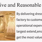 Mother of the Bride Dresses for Wedding Party Dress Long Chiffon Lace Applique Wedding Guest Dresses