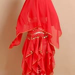 Belly Dance Costume Bollywood Costume Indian Dress Bellydance Dress Gypsy Women Belly Dancing Costume Sets Tribal Skirt 7 colors