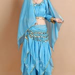 Belly Dance Costume Bollywood Costume Indian Dress Bellydance Dress Gypsy Women Belly Dancing Costume Sets Tribal Skirt 7 colors