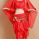 Belly Dance Costume Bollywood Costume Indian Dress Bellydance Dress Gypsy Women Belly Dancing Costume Sets Tribal Skirt 7 colors