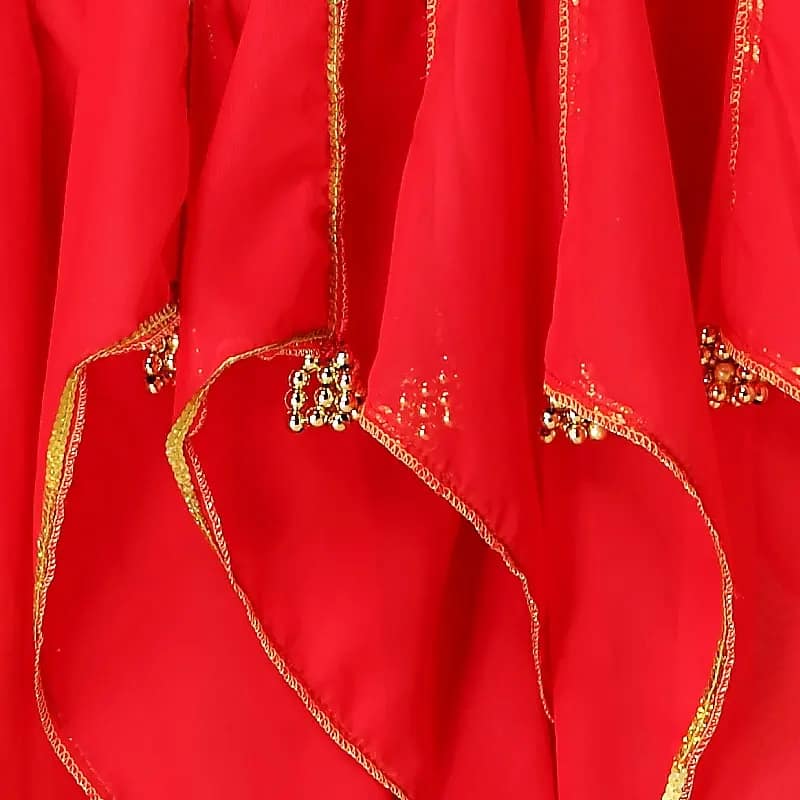 Belly Dance Costume Bollywood Costume Indian Dress Bellydance Dress Gypsy Women Belly Dancing Costume Sets Tribal Skirt 7 colors