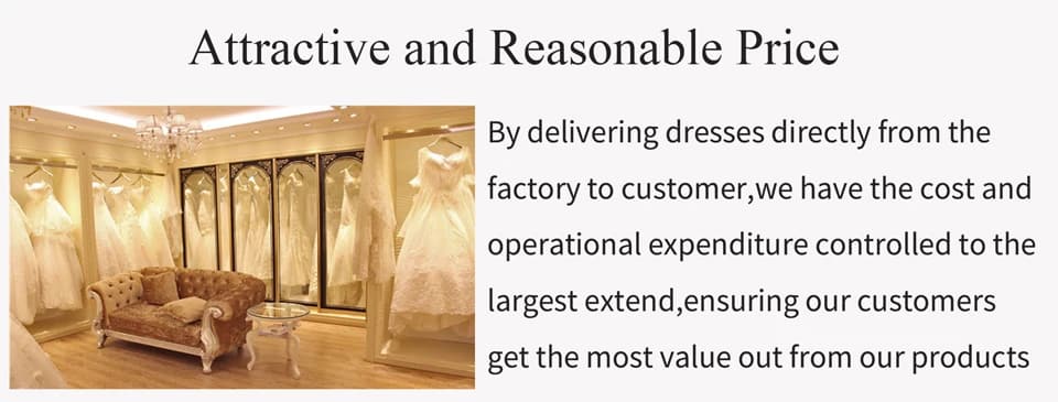 Mother of the Bride Dresses for Wedding Party Dress Long Chiffon Lace Applique Wedding Guest Dresses